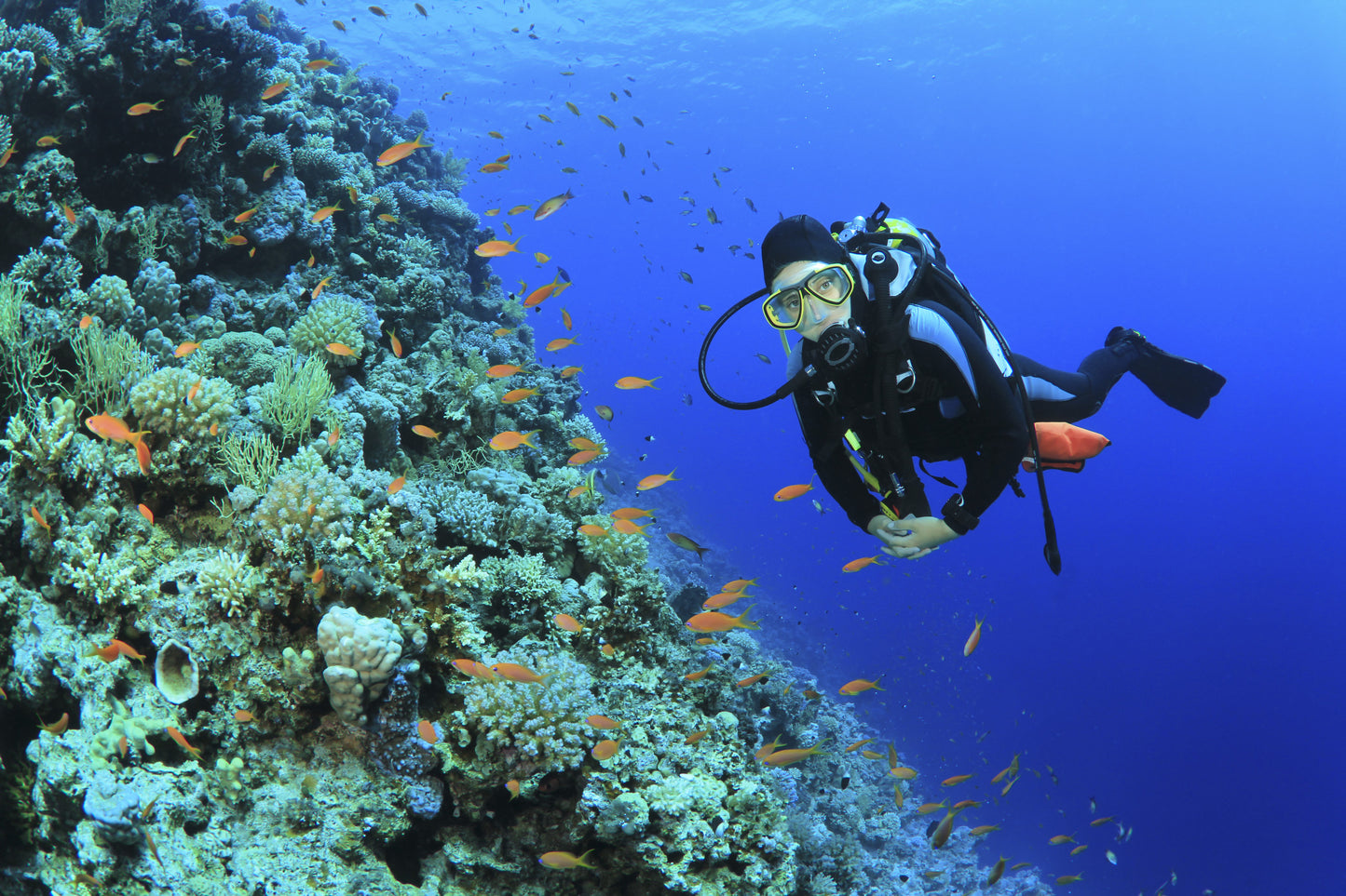 DIVE SERIES - HEATED KIDNEY BELT